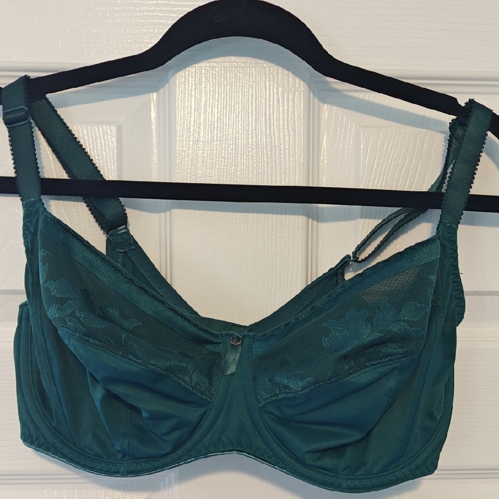Fantasie Green Full Coverage Underwire Bra